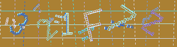 確認代碼