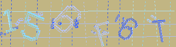 確認代碼