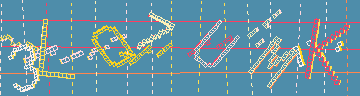 確認代碼