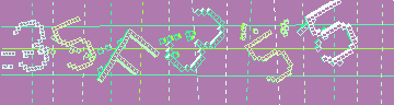 確認代碼