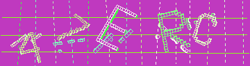 確認代碼