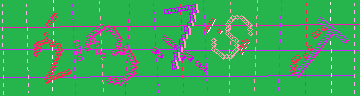 確認代碼