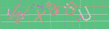 確認代碼