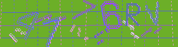 確認代碼