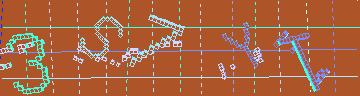 確認代碼