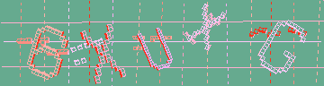確認代碼
