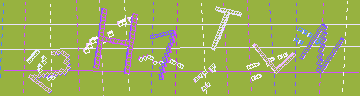確認代碼