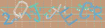 確認代碼
