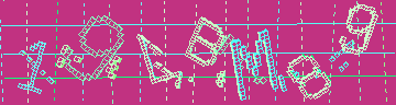 確認代碼