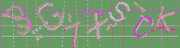 確認代碼