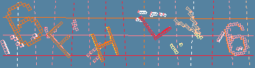 確認代碼