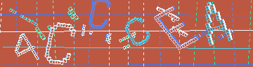 確認代碼