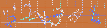 確認代碼
