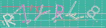 確認代碼