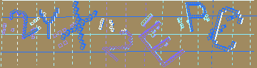 確認代碼