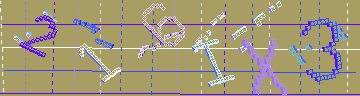 確認代碼