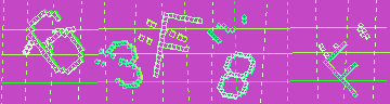 確認代碼