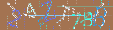 確認代碼