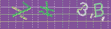 確認代碼