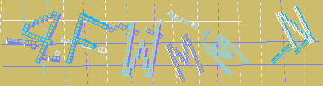 確認代碼