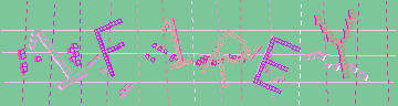 確認代碼