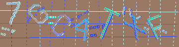 確認代碼