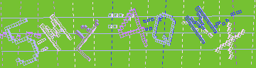 確認代碼