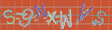 確認代碼