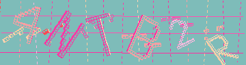 確認代碼