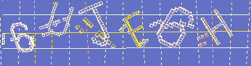 確認代碼
