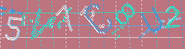 確認代碼