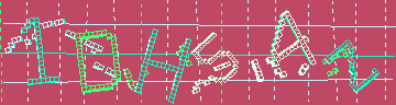 確認代碼