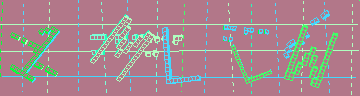 確認代碼