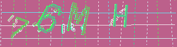 確認代碼