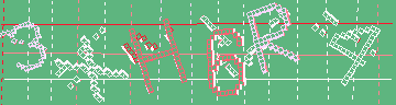 確認代碼
