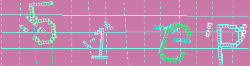 確認代碼