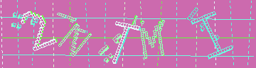 確認代碼