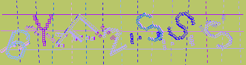 確認代碼