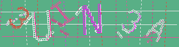 確認代碼