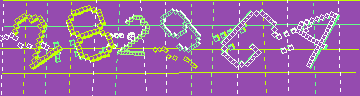 確認代碼
