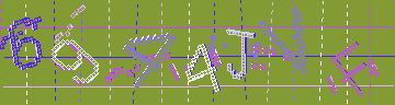 確認代碼