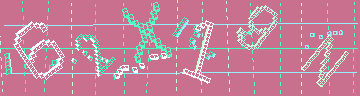 確認代碼
