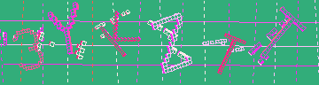 確認代碼