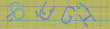 確認代碼
