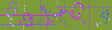 確認代碼