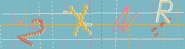 確認代碼