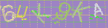 確認代碼