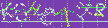 確認代碼