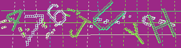 確認代碼