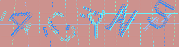確認代碼